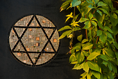 Petra Bork / pixelio.de